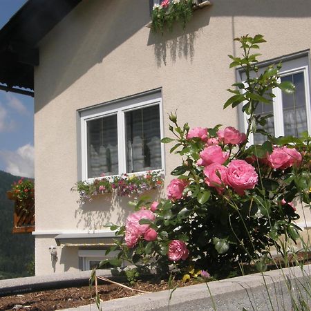 Ferienwohnung Brennseeblick Feld am See Exterior photo