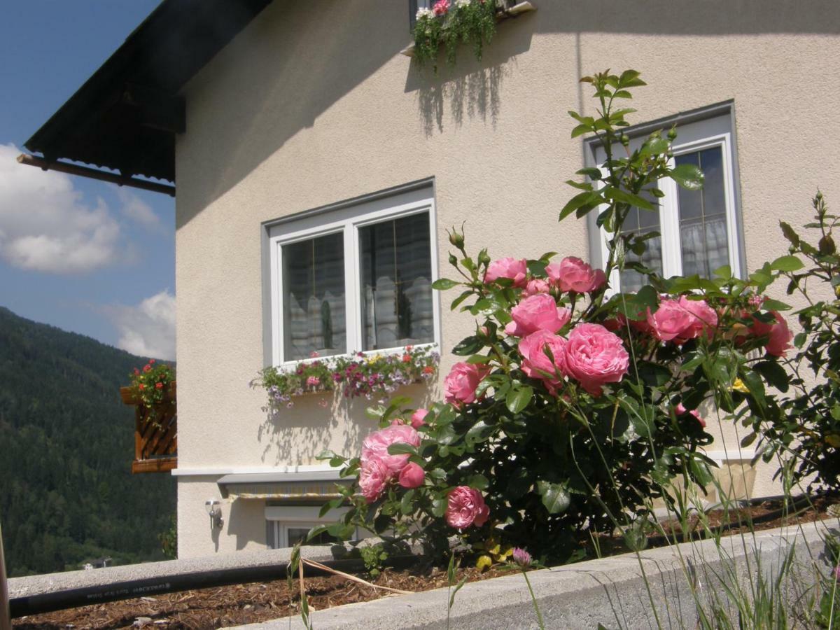 Ferienwohnung Brennseeblick Feld am See Exterior photo